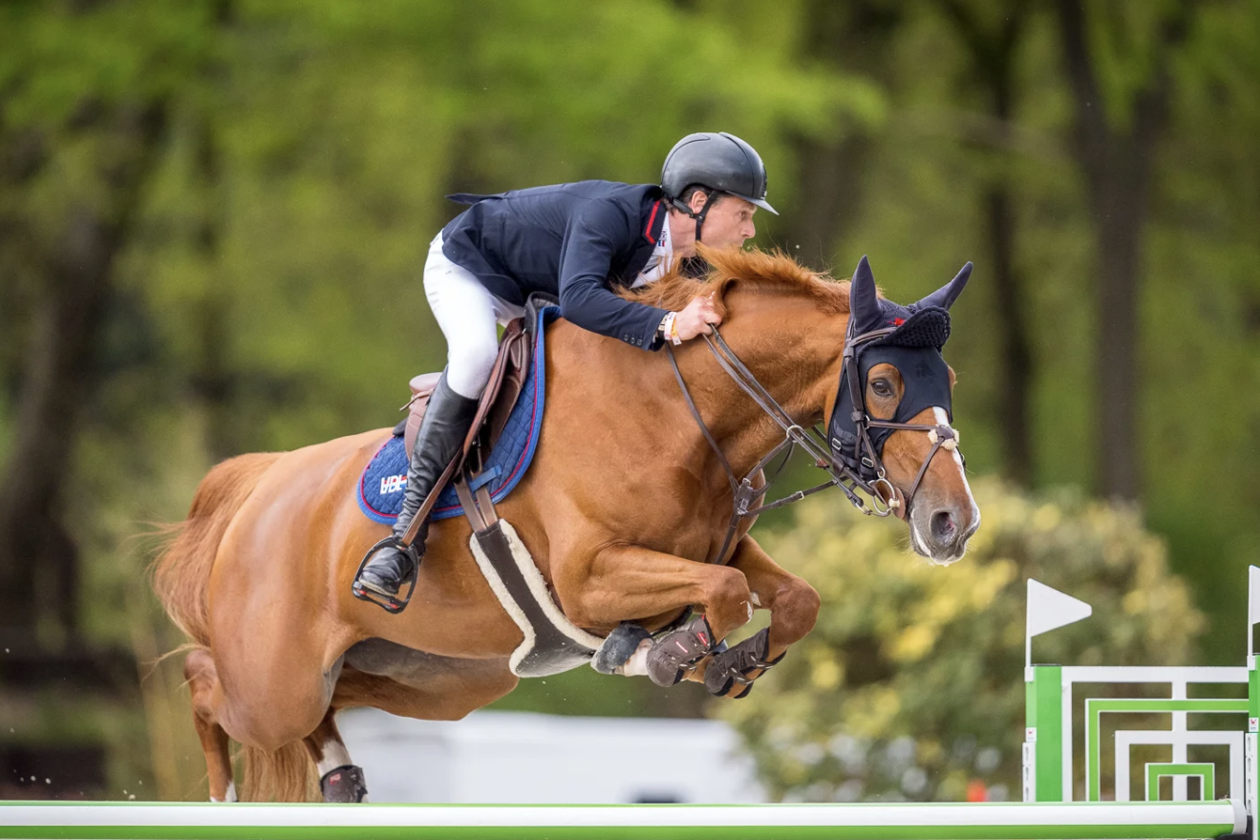 From Champion Mare to International Grand Prix Horse: The Legacy of VDL Groep Issis du Marais and the Return of VDL Groep Kiara